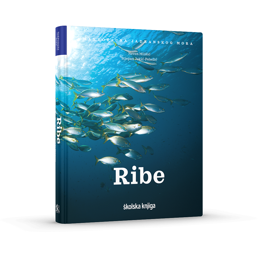 Ribe – I. knjiga serijala „Makrofauna Jadranskog mora“