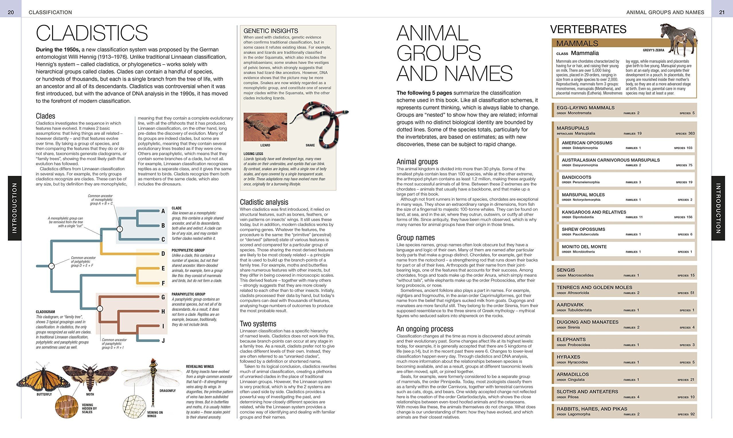 Animal: The Definitive Visual Guide 