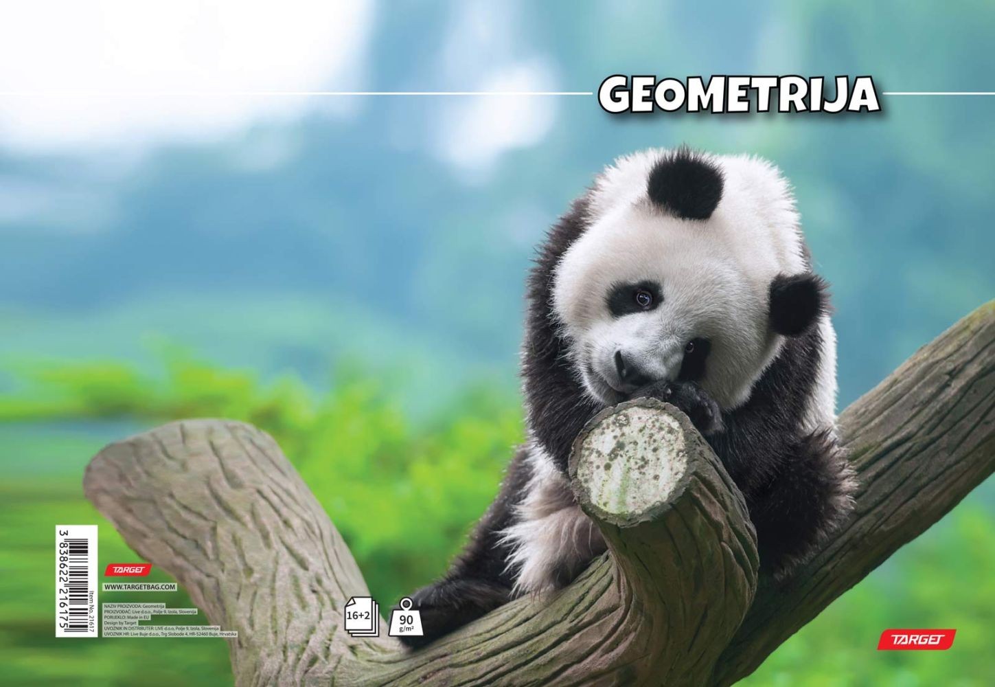 Geometrija Target Panda